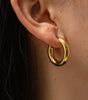 Gold-Filled Thick Hoop Earrings – Susan