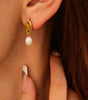 Elegant 18K Gold Plated Pearl Earrings –  Ginter