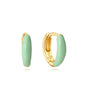 Elegant  Earring Set with 18K Gold Plating – Wynefreed